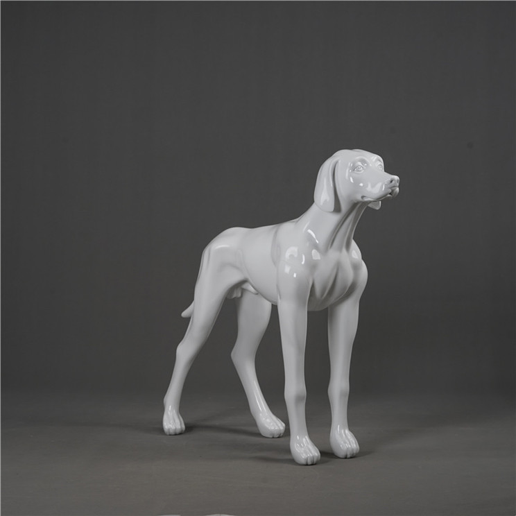 DOG-01W
